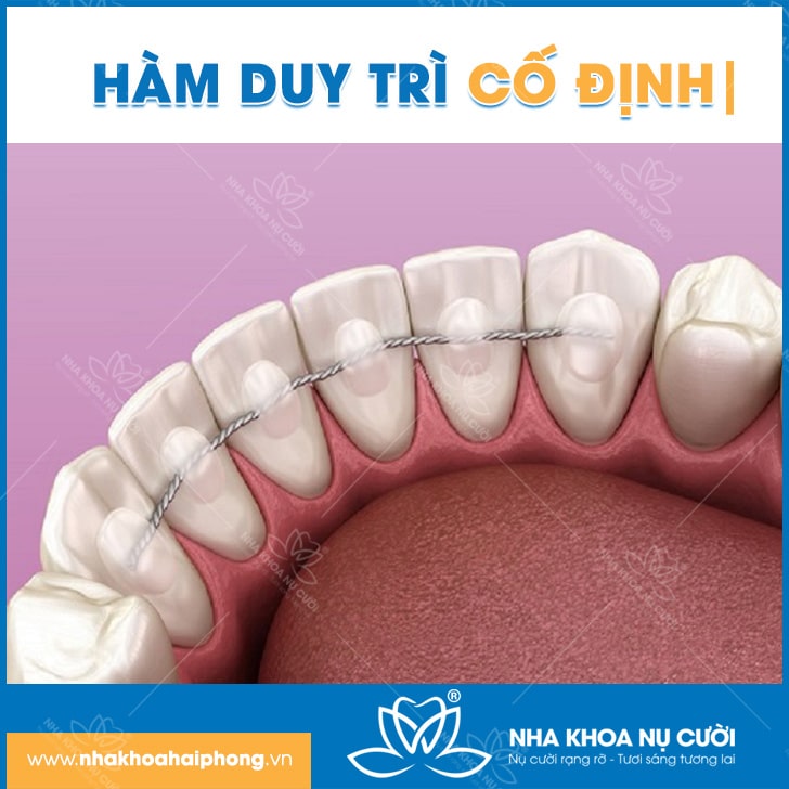 co-dinh