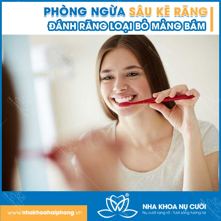 phong-ngua